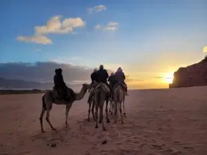 Wadi Rum camels at dawn